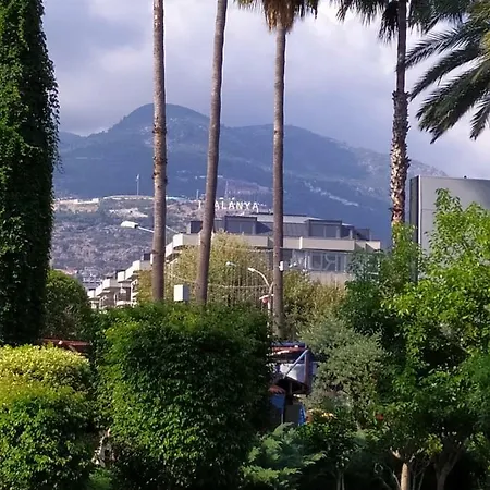 Apartament Best Houm 12
